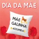 Almofada Dia da Mãe
