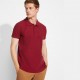 Polo Star