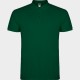 Polo Star
